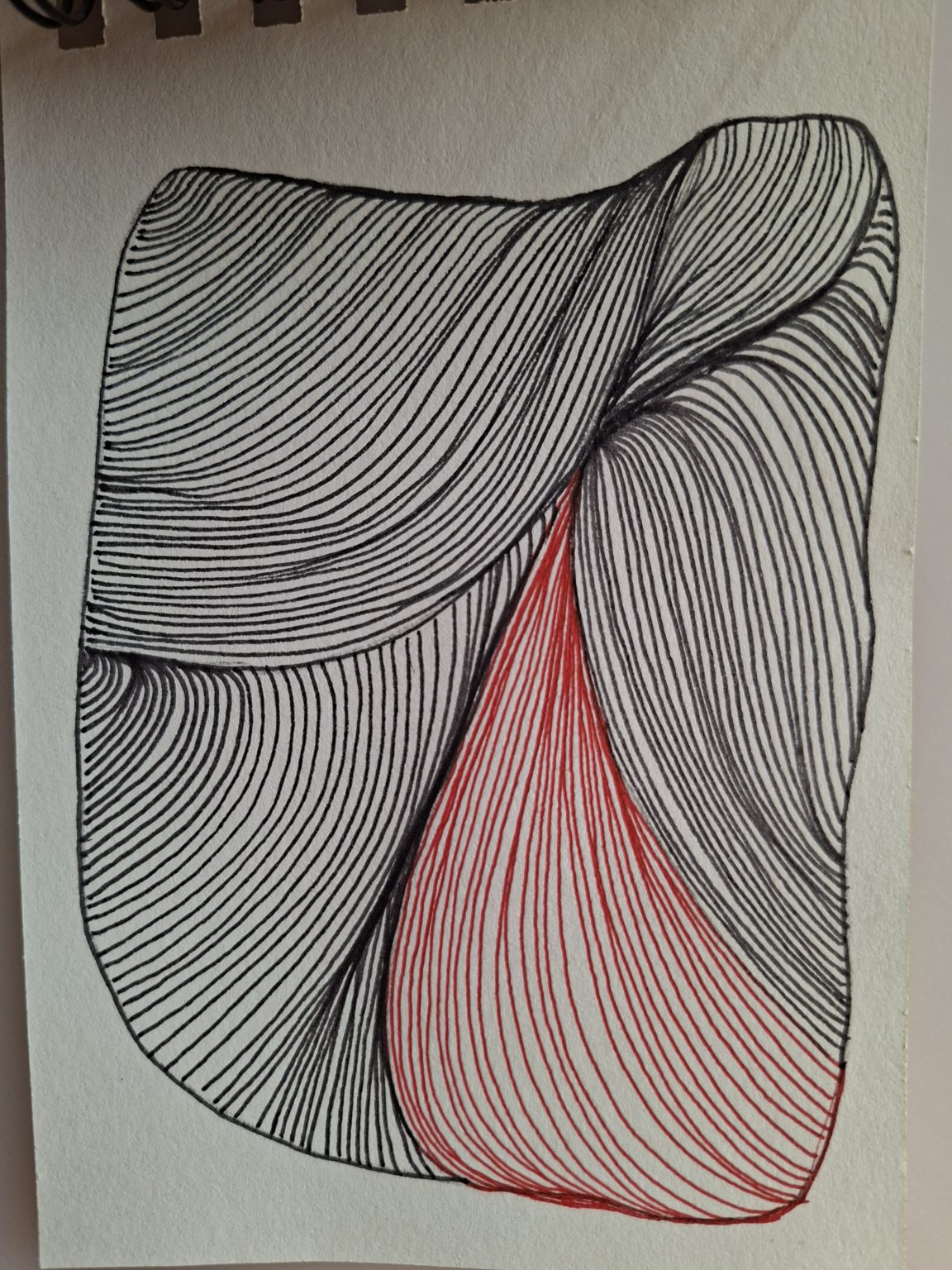 20250928_163732