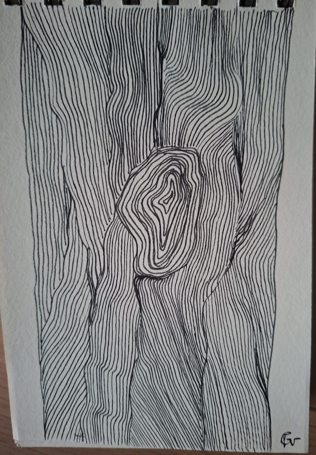 20251002_075415